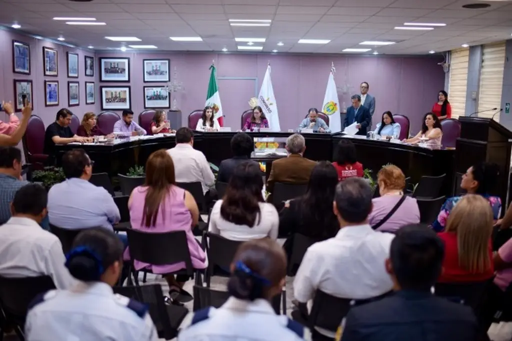 Imagen Congreso recibe iniciativa de Rocío Nahle en materia de desaparición de personas