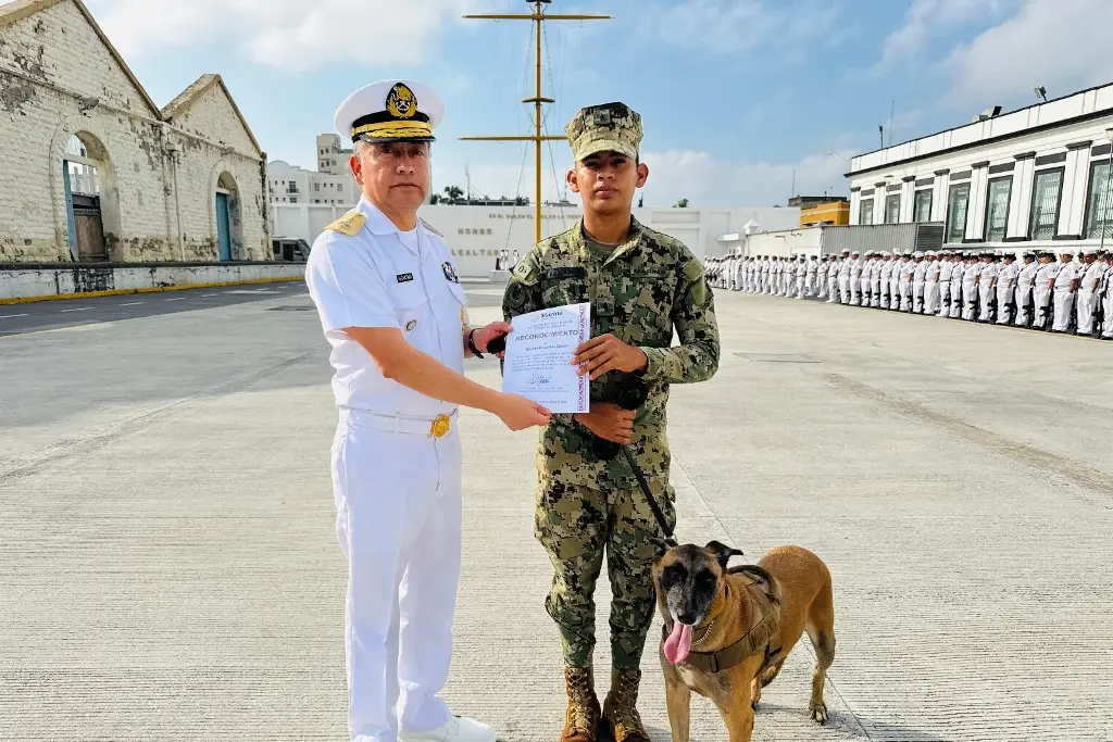 Imagen 'Se jubila' pastor belga malinois; prestaba sus servicios en la Primera Región Naval