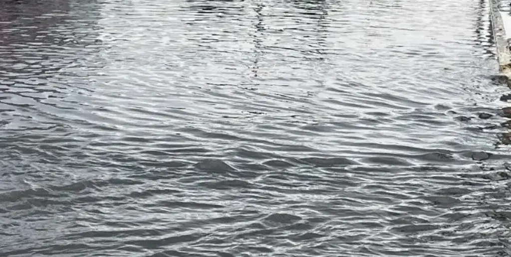 Imagen Zona de lluvias y tormentas que se movió a la costa central de Veracruz: advierte Protección Civil