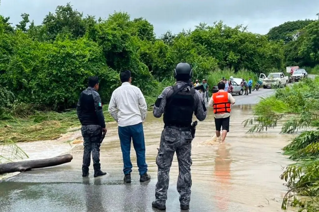 Imagen Más de 300 reses arrastradas por el río, puentes y caminos dañados, dejaron lluvias al sur de Veracruz
