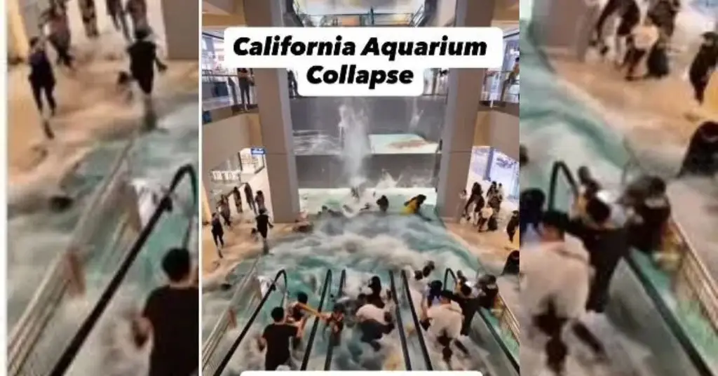 Imagen Desmienten accidente en acuario de California; video del colapso fue hecho con IA