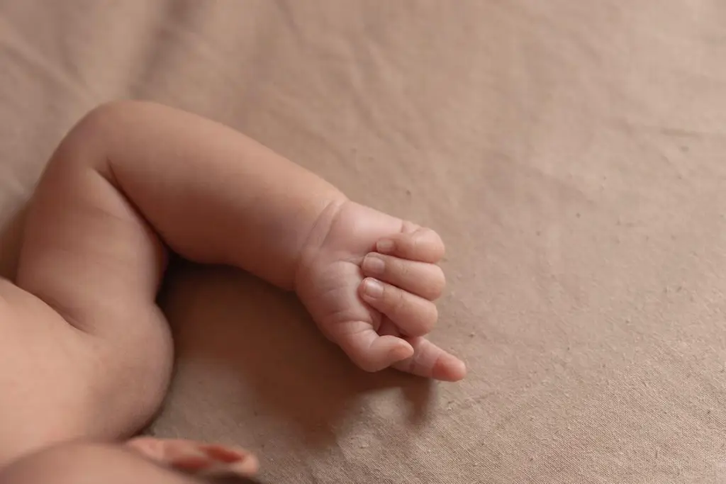 Imagen Alertan por riesgo de ingesta de imanes en juguete para bebés