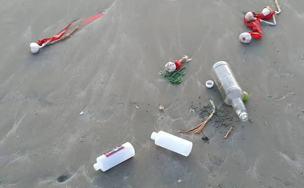 Imagen Siguen apareciendo aves muertas en playas de Boca del Río