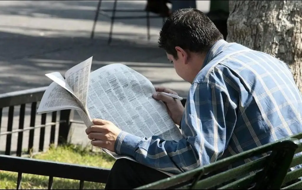 Imagen Darán becas para desempleados mayores de 30 años; te decimos dónde