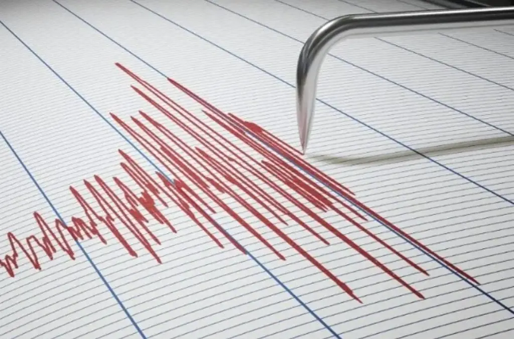 Imagen Se registra sismo de magnitud 6.0 en costas de Chiapas este sábado