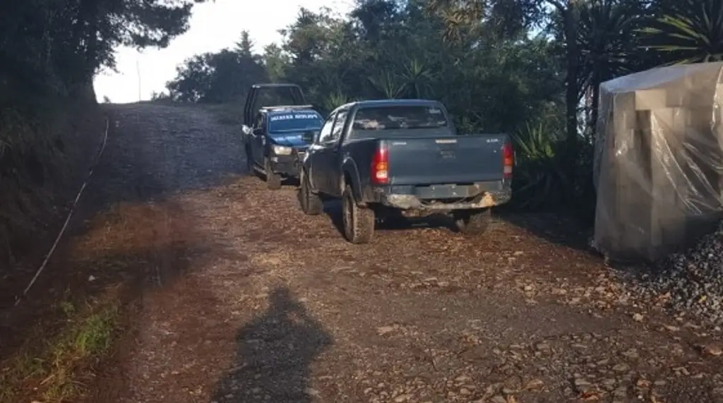 Imagen Hallan restos de recién nacido en Mixtla de Altamirano, Veracruz 