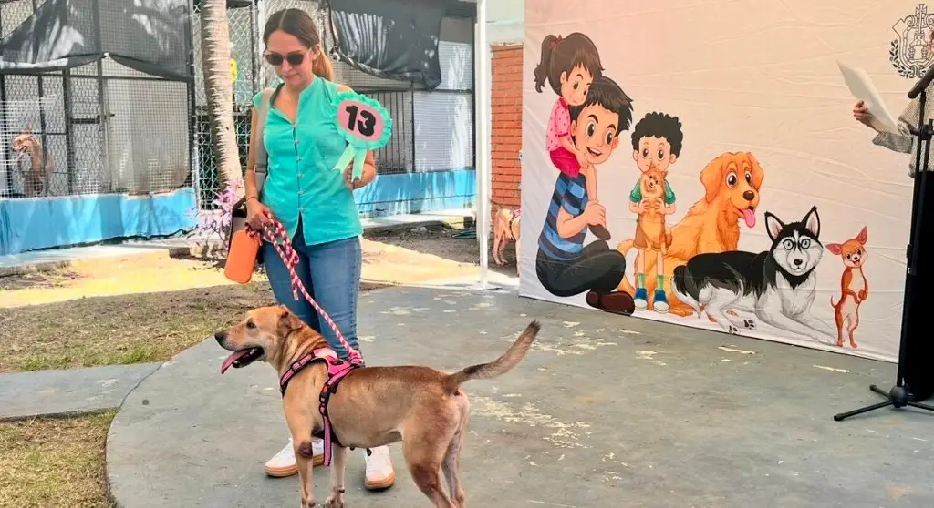 Imagen Realizan la Expo Adopta 2025 en Reino Mágico de Veracruz