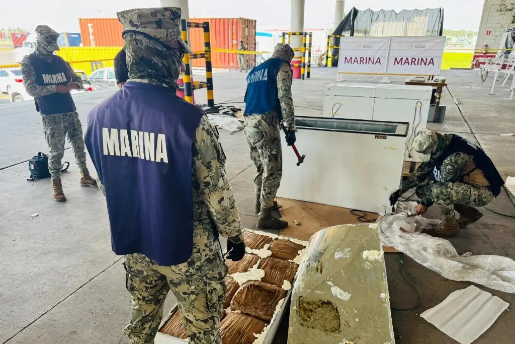 Imagen Confirman que fueron asegurados más de 330 kilos de marihuana en el puerto de Veracruz