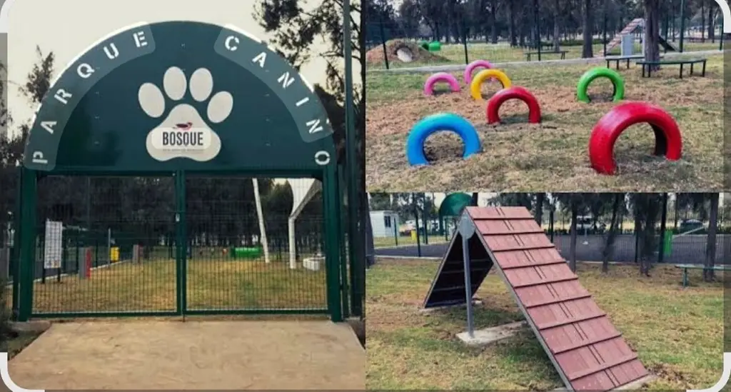 Imagen Así sería el primer parque para perros que proponen vecinos de lagunas Ensueño y La Ilusión en Veracruz