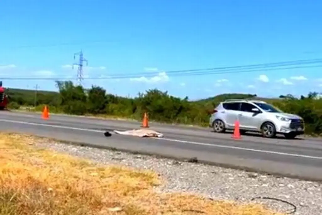 Imagen Muere atropellado trailero en carretera de Tamaulipas; sería originario de Veracruz