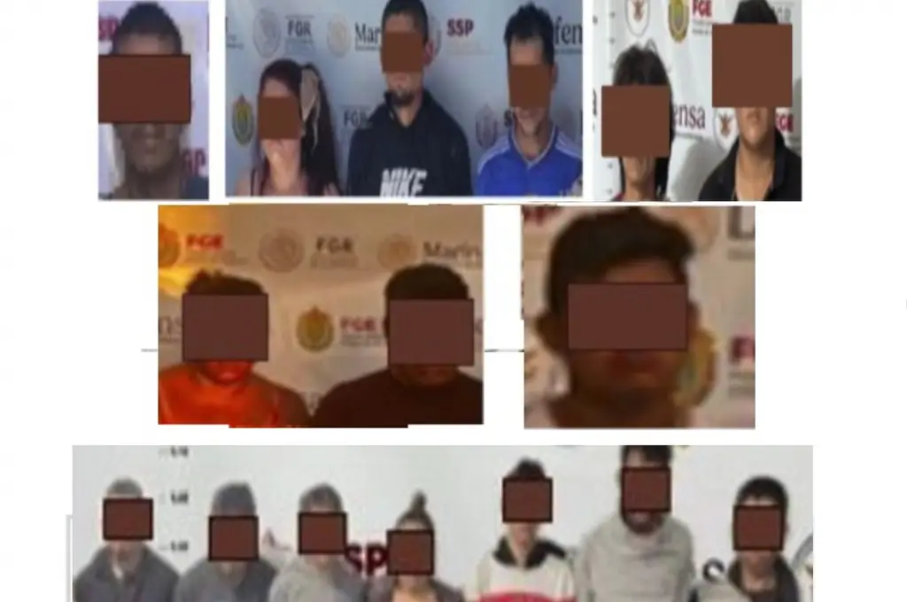 Imagen Detienen a 17 personas en 8 operativos con fuerzas federales en Veracruz. Esto les aseguraron