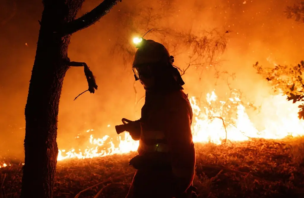 Imagen 'Era un infierno', así describen ola de incendios forestales que asoló España