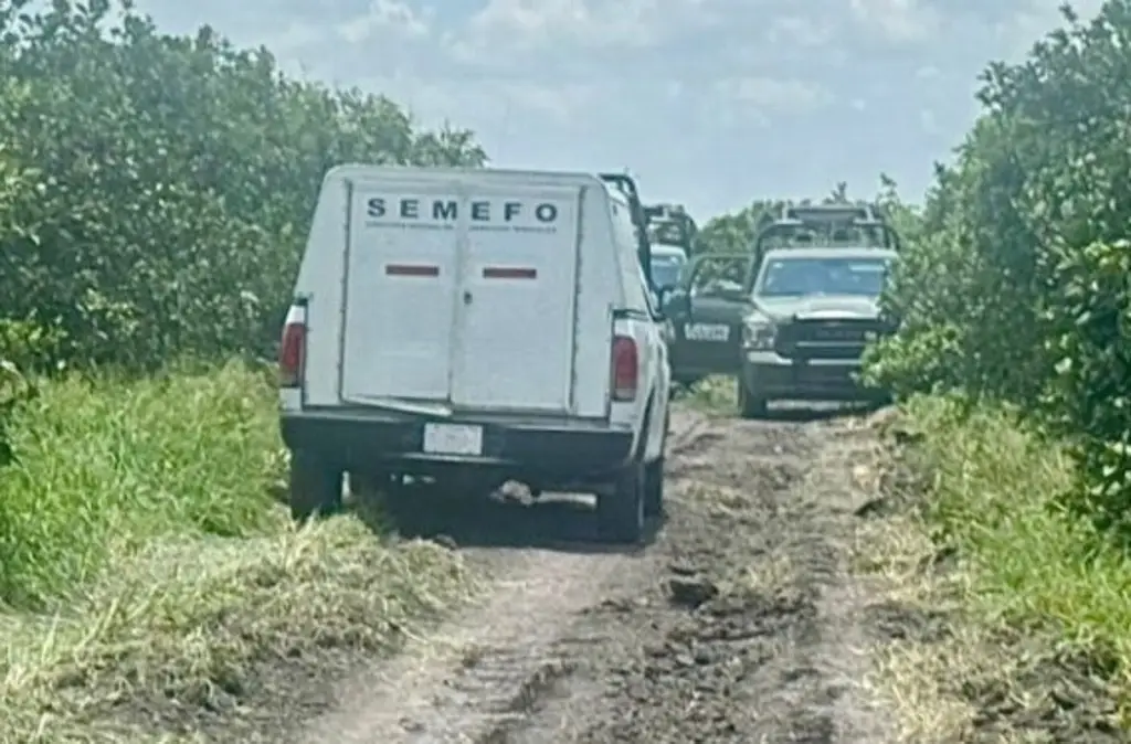 Imagen Reportan hallazgo de 6 cuerpos en fosa clandestina al norte de Veracruz 
