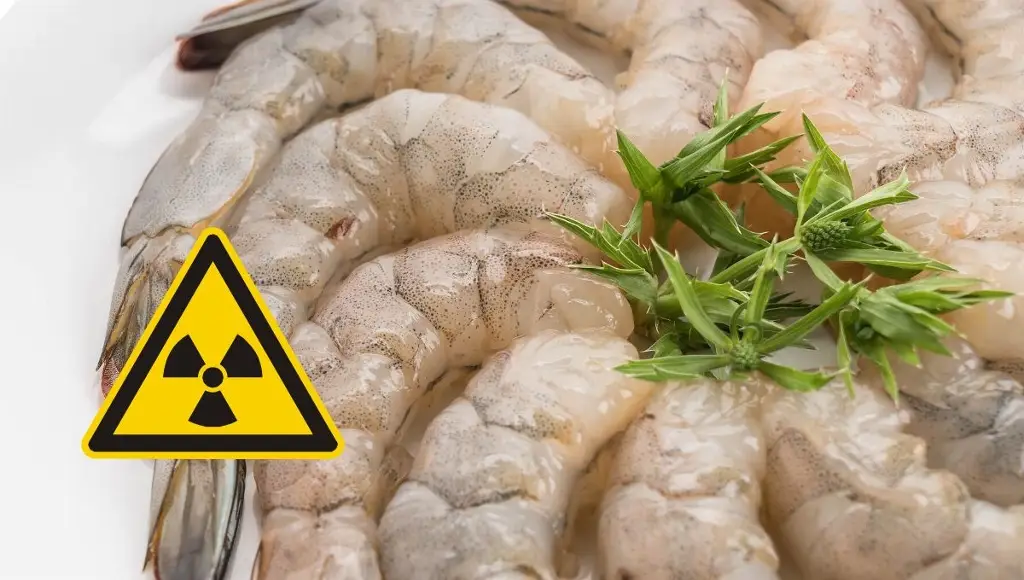 Imagen EU alerta por camarones radioactivos importados; los venden en conocida tienda
