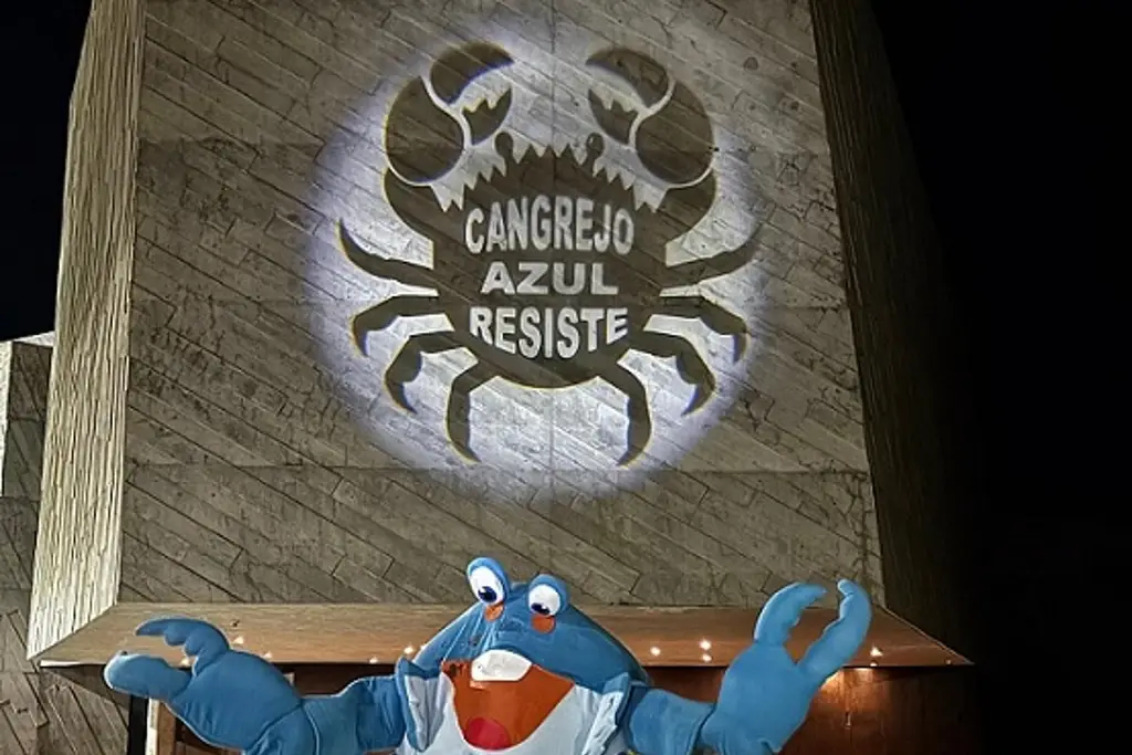 Imagen “Cangrejo azul resiste”, buscan evitar su extinción en la Riviera Veracruzana 