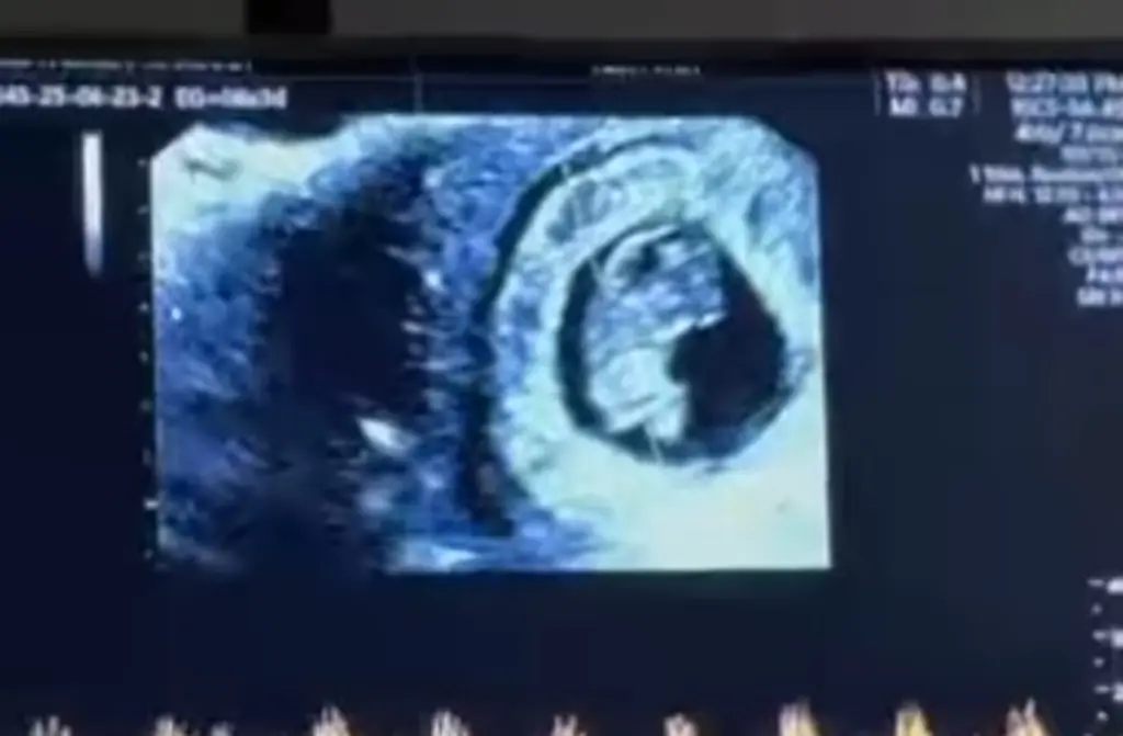 Imagen Vicente Fernández Jr. se convertirá en papá a sus 61 años de edad (+Video) 