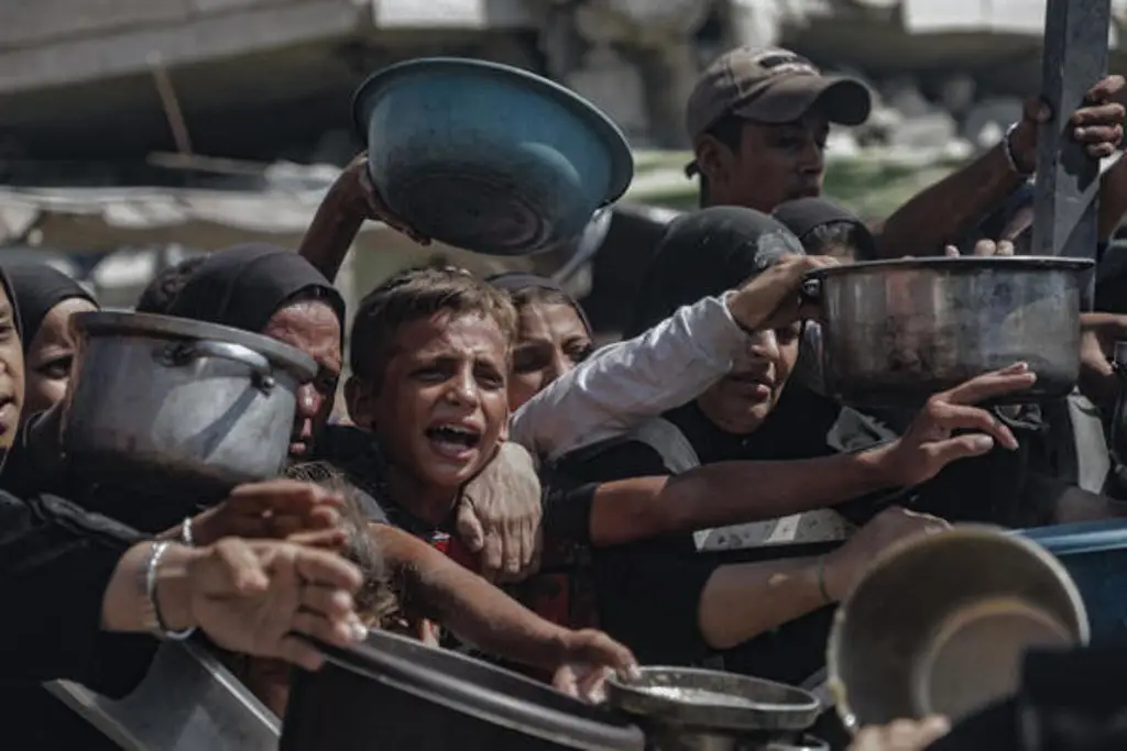 Imagen SRE se une a la denuncia de hambruna en Gaza y pide acceso a la ayuda humanitaria