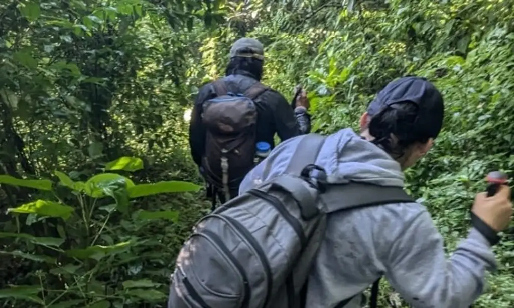 Imagen Tras varias horas, rescatan a 2 jóvenes extraviados en un cerro en Río Blanco, Veracruz 