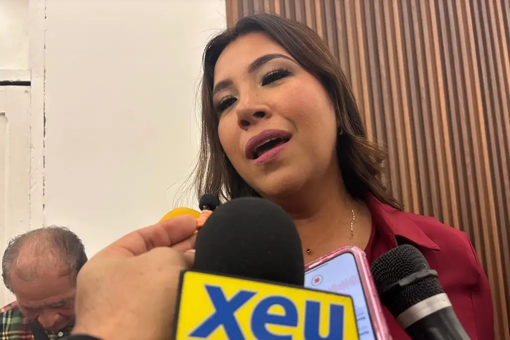 Imagen Presupuesto entre temas prioritarios para discutir en la Cámara: diputada de Morena 