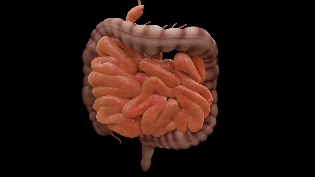 Imagen Quienes padecen trastornos intestinales tienen el doble de probabilidad de tener alzhéimer