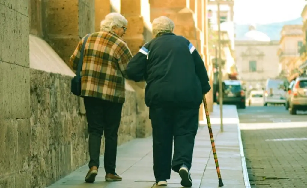 Imagen ¿Qué actividades pueden realizar los adultos mayores para tener buena salud?