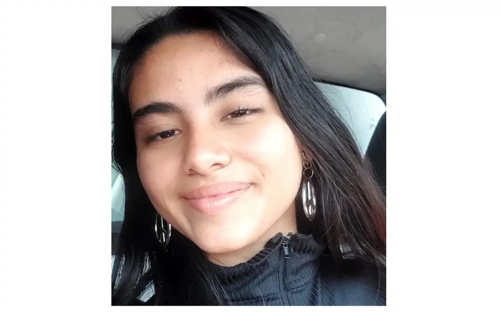Imagen Buscan a quinceañera desaparecida en Veracruz; aquí sus características