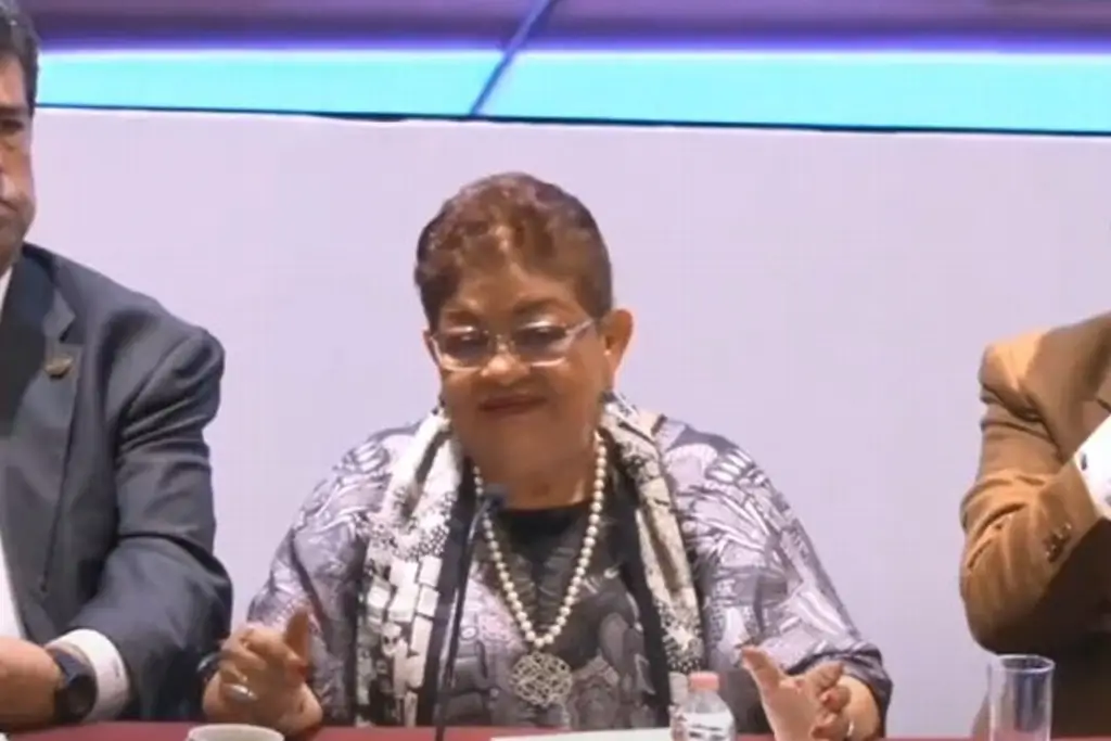 Imagen Reforma a Ley Aduanera 'va a causar mucho escozor', advierte Ernestina Godoy