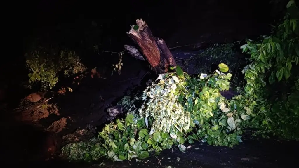 Imagen Por fuertes lluvias, se registra deslave en carretera de Veracruz 