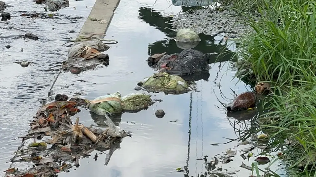 Imagen Reportan foco de infección al norte de Veracruz 