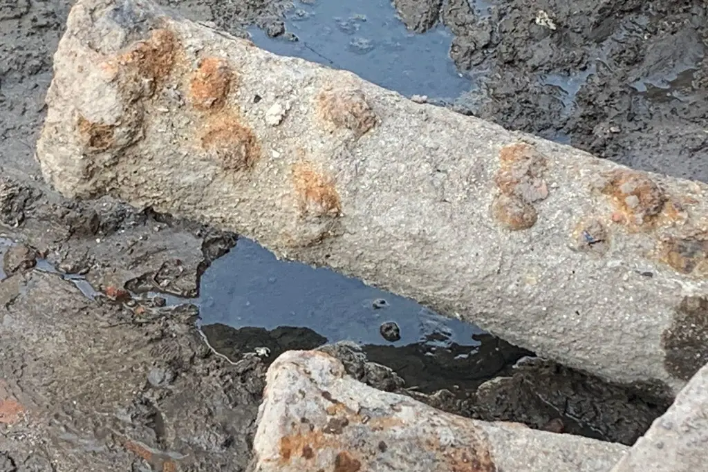 Imagen ¿Qué debería hacerse con los cañones localizados cerca de la Puerta Merced, en Veracruz?