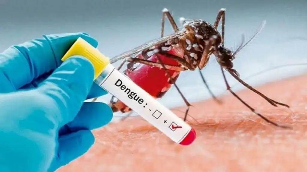 Van 1,222 casos confirmados de dengue y muertes en investigación