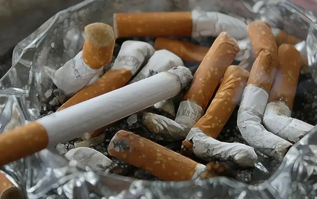 Imagen Tabaquismo pasivo de un hombre en su infancia puede afectar la salud pulmonar del hijo: Estudio