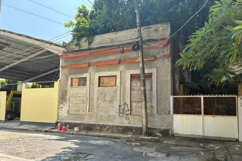Imagen Piden rescatar a 10 gatos que quedaron 'atrapados' en vivienda abandonada