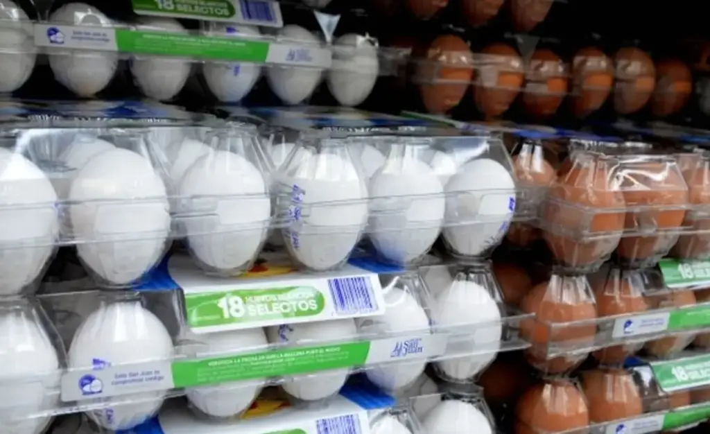 Imagen ¿Por qué millones de mexicanos no pueden comprar la canasta básica? 