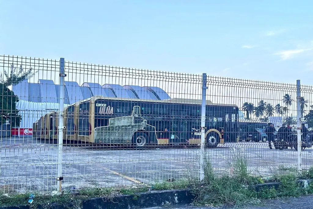 Imagen Llegan los nuevos camiones Ulúa a Veracruz 
