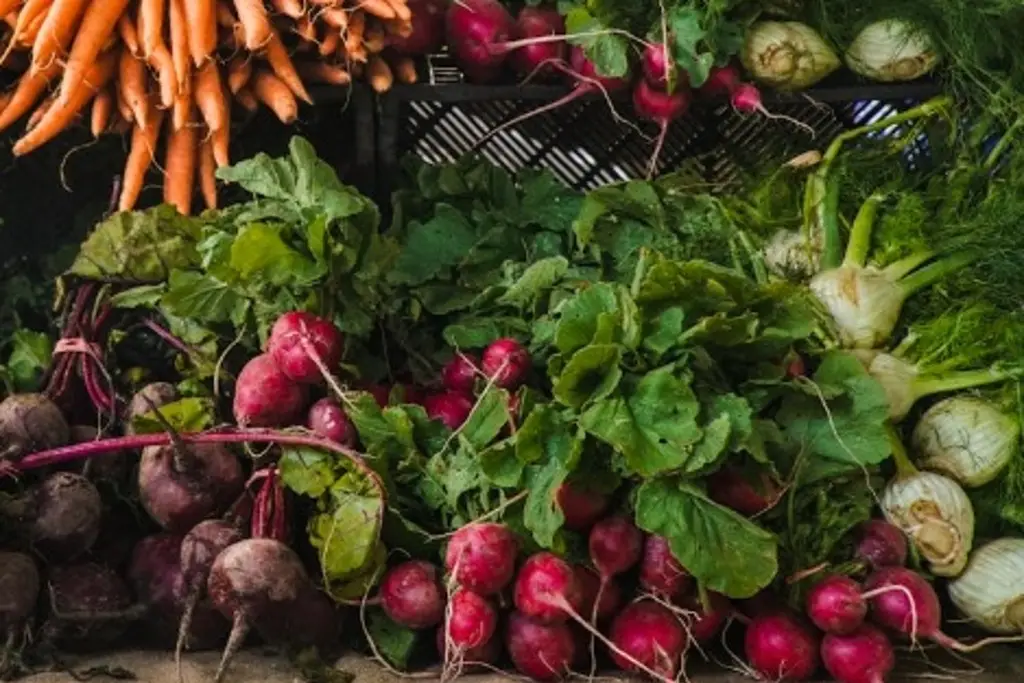 Imagen Dieta respetuosa con el planeta se relaciona con una menor mortalidad, según estudio 