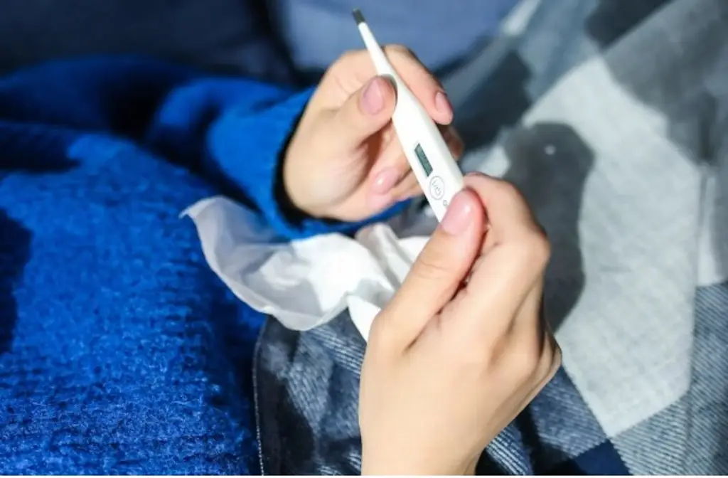 Imagen Descubren por qué la gripe es más mortal para las personas mayores