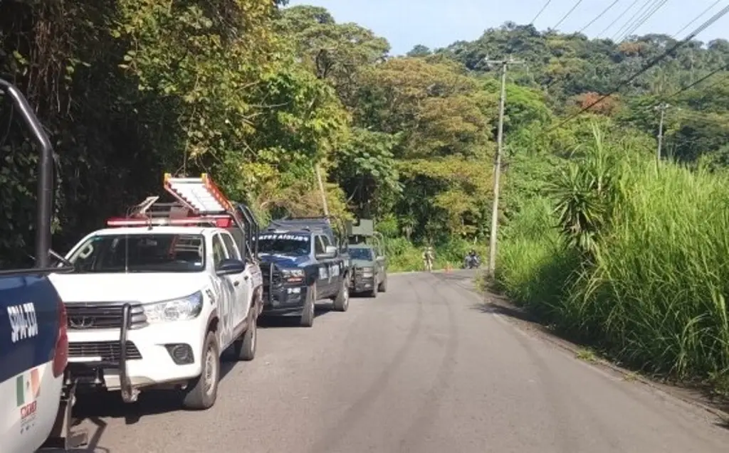 Imagen Hallan a mujer sin vida en carretera de Veracruz; Fiscalía abre investigación por feminicidio