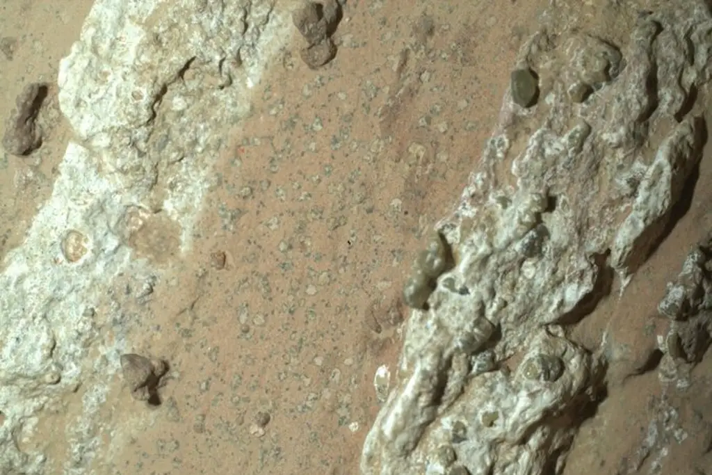 Imagen NASA descubre posible evidencia de vida antigua en Marte