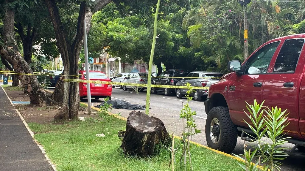 Imagen Muere hombre cuando salía de cafetería en fraccionamiento de Veracruz 