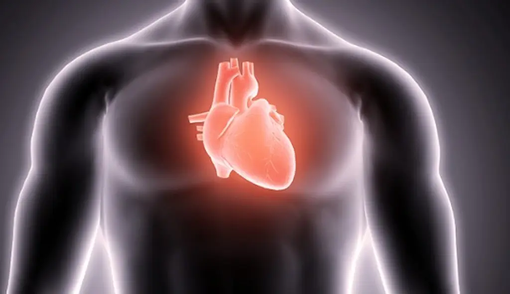 Imagen ¿En qué consiste el llamado Código Infarto? Esto dice Cardiólogo 