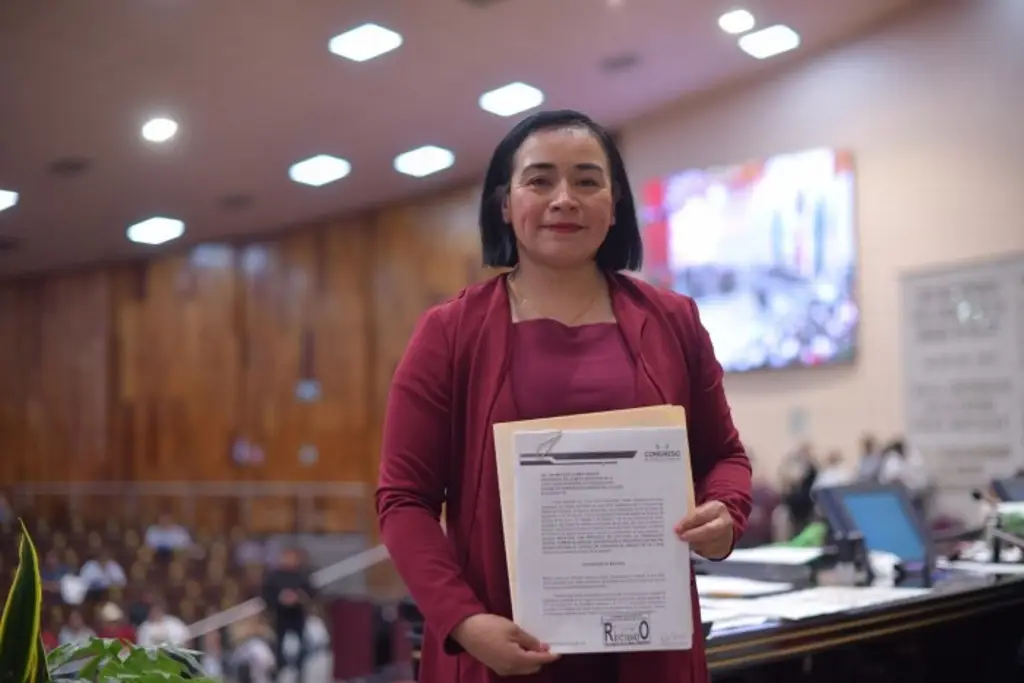 Imagen Veracruz tendría ley para la producción y comercialización del Aguacate: Diputada 