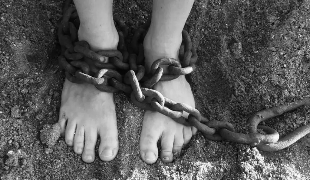 Imagen Resguardan a menor de edad hallada encadenada de sus pies al sur de Veracruz