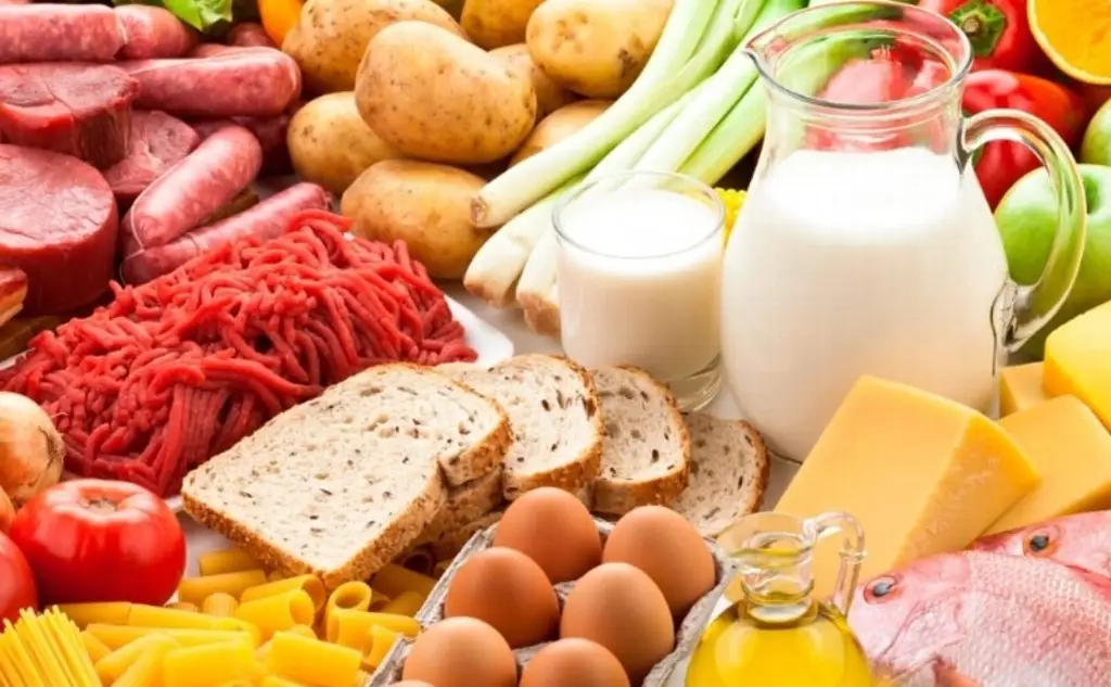 Imagen ¿Cuáles son las características del plato del buen comer? 
