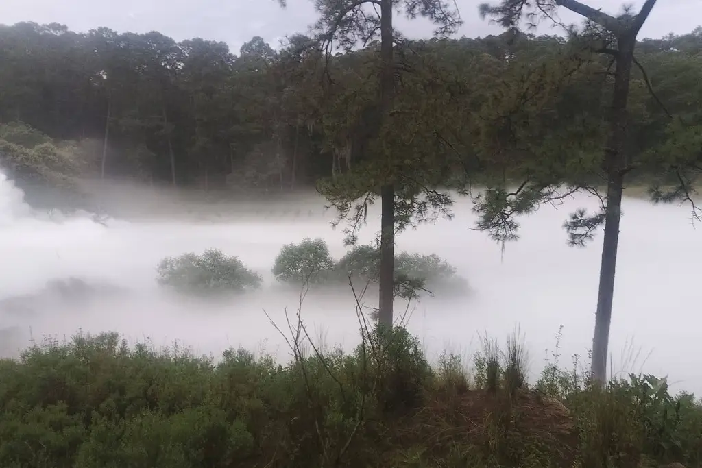 Imagen Desalojan a más de 3 mil personas por fuga de Gas LP en Nanacamilpa (+Video)