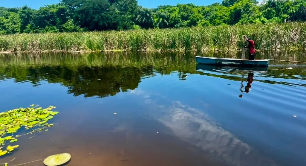 Imagen Secretaría de Medio Ambiente atiende el llamado de habitantes de San Julián Veracruz 
