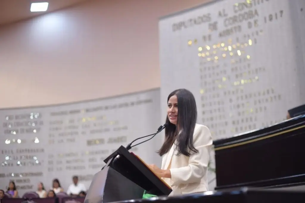 Imagen Pide diputada solución a constantes apagones en Veracruz-Boca del Río