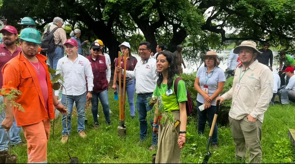 Imagen Realizan jornada de limpieza y reforestación de las lagunas La Ilusión y El Ensueño en Veracruz