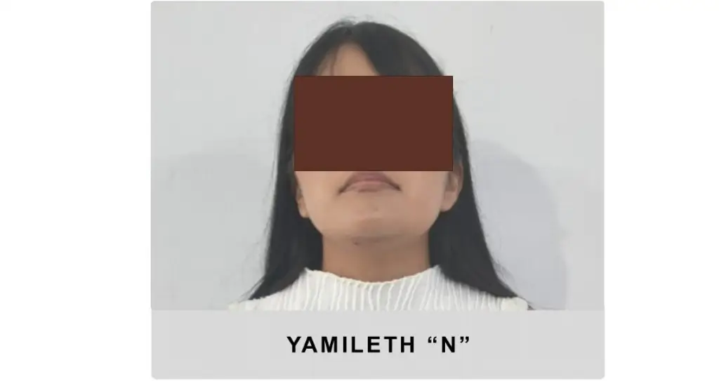 Imagen La imputan por presunto homicidio culposo y daños culposos al sur de Veracruz 