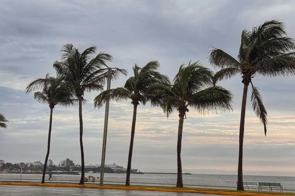 Imagen ¿Seguirá la lluvia este martes en Veracruz? Checa lo que indica el pronóstico del tiempo